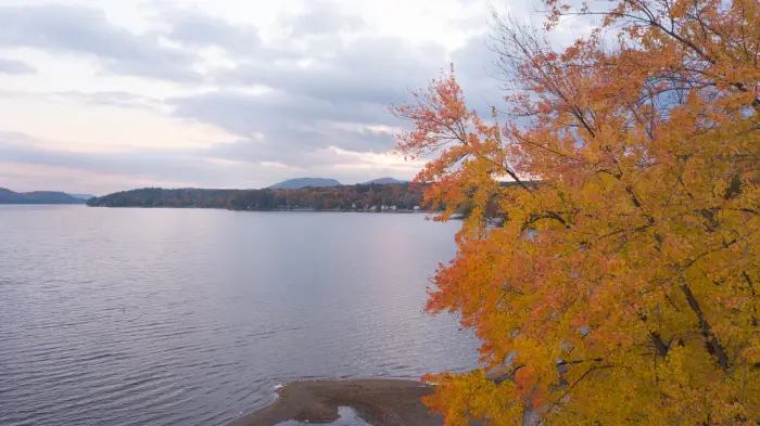 A view of Schroon Lake with a tree full of orange leaves.