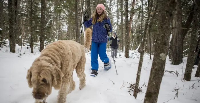 A family snowshoeing on a snowy trail with their dog.