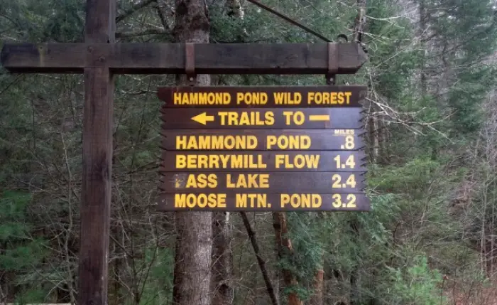 Hammond Pond Wild Forest