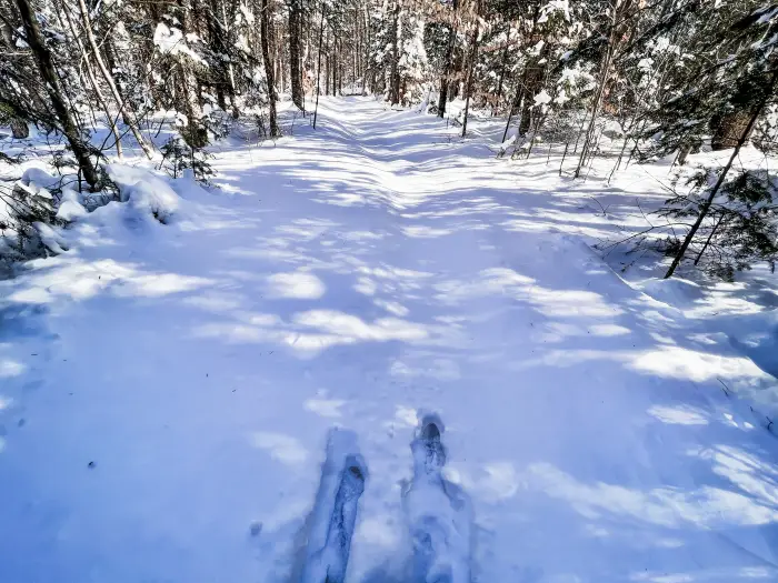 Cross-country skis in deep powder.