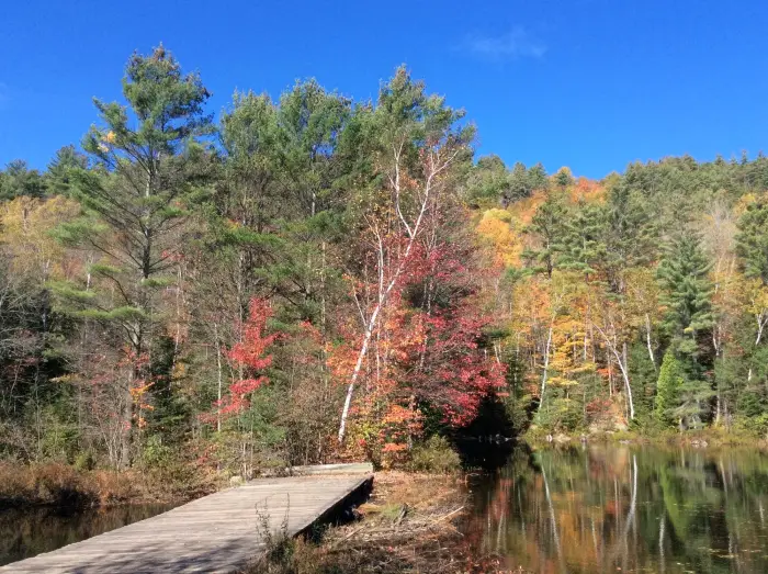 Hammond Pond Wilderness Area&#44; with colorful autumn leaves in a mixed deciduous and evergreen forest.